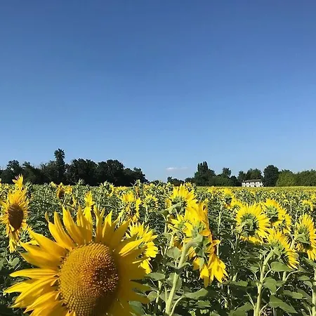 Petite Maison - Domaine La Vaure *