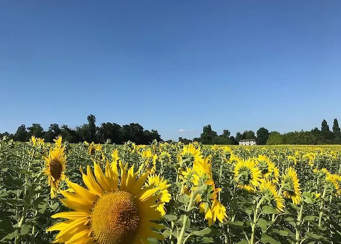 Petite Maison - Domaine De La Vaure *